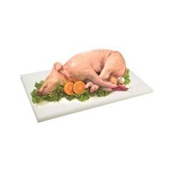 leitao_medio_carnes_suino.jpg Leitão Médio