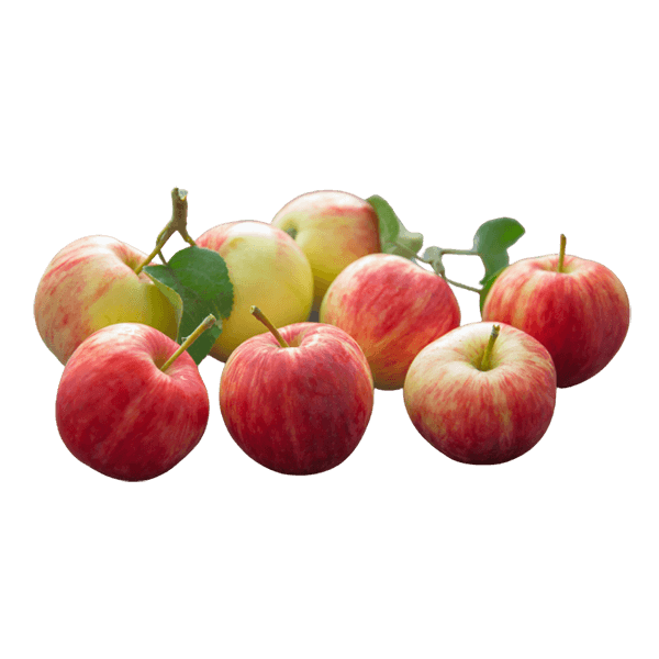 organicc-apples.png Maça Fugi (Kg)