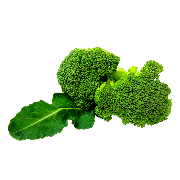 organicc-brocolli.png Risus feugiat