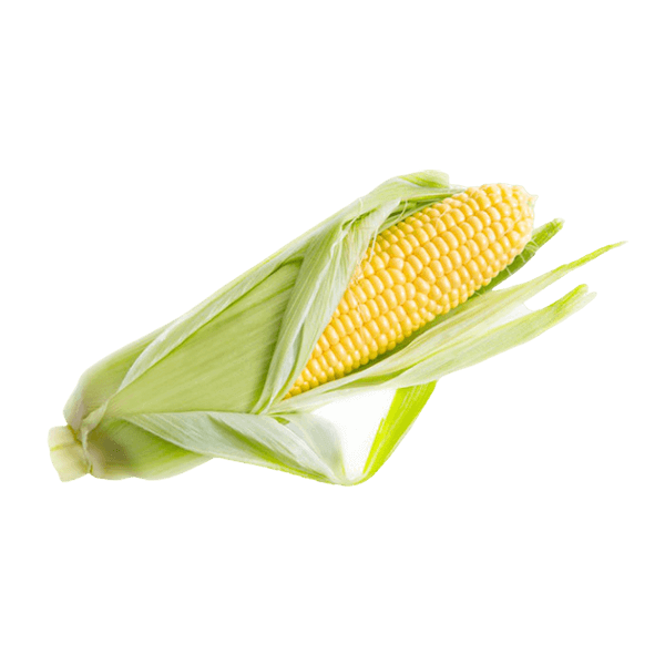 organicc-corn.png Milho Verde (UN)