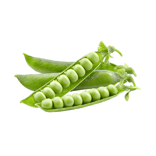 organicc-peas.png Ervilha Fresca