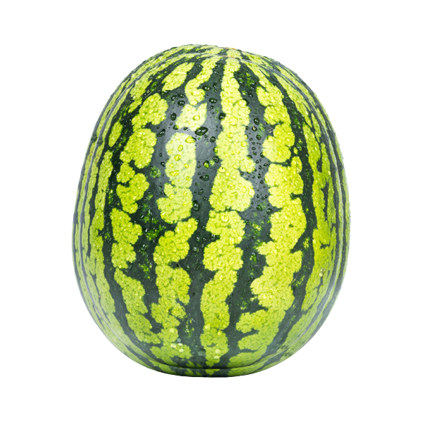 pe.png Melancia é um excelente alimento para podermos ficar em forma. tem muitas vitaminas e minerais