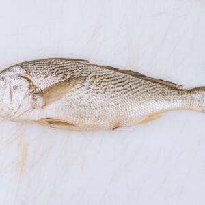 Corvina completa