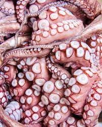Polvo